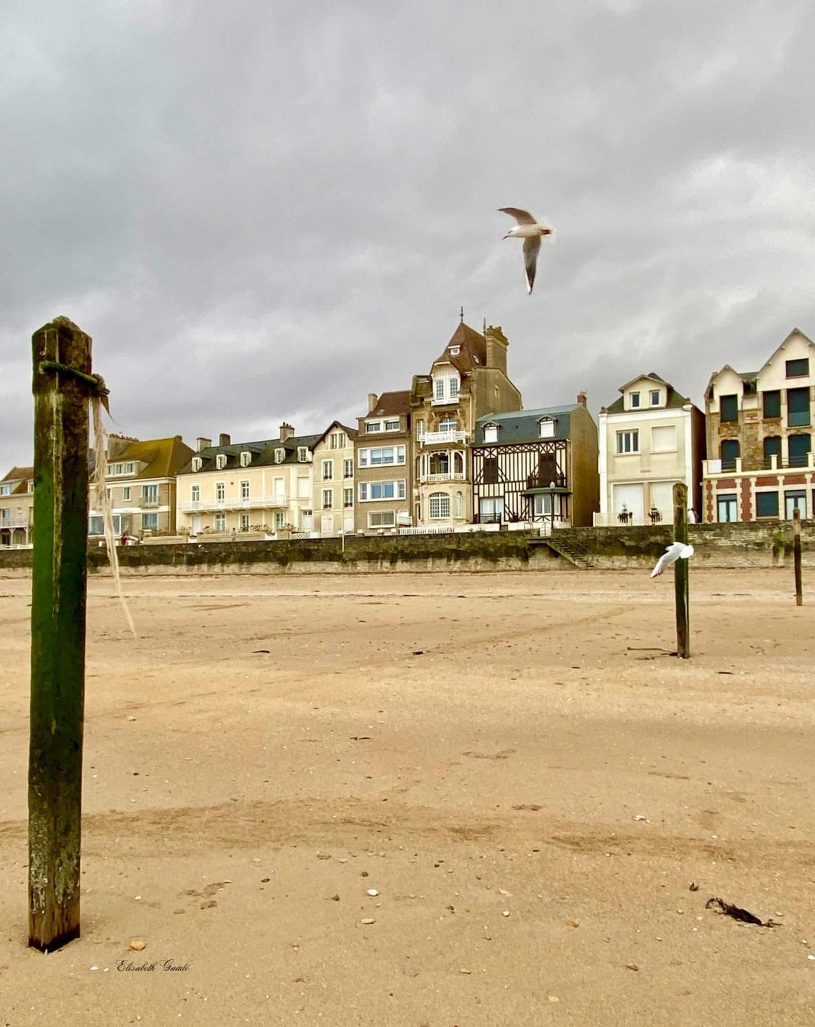 Saint-Aubin-Sur-Mer: Bel Appartement Traversant Екстериор снимка